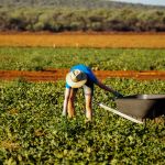 La realidad del mercado laboral en Australia
