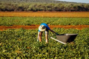 La realidad del mercado laboral en Australia