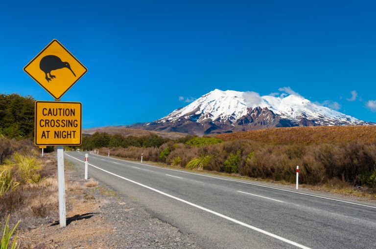 Trabajar en Nueva Zelanda: la Working Holiday Visa