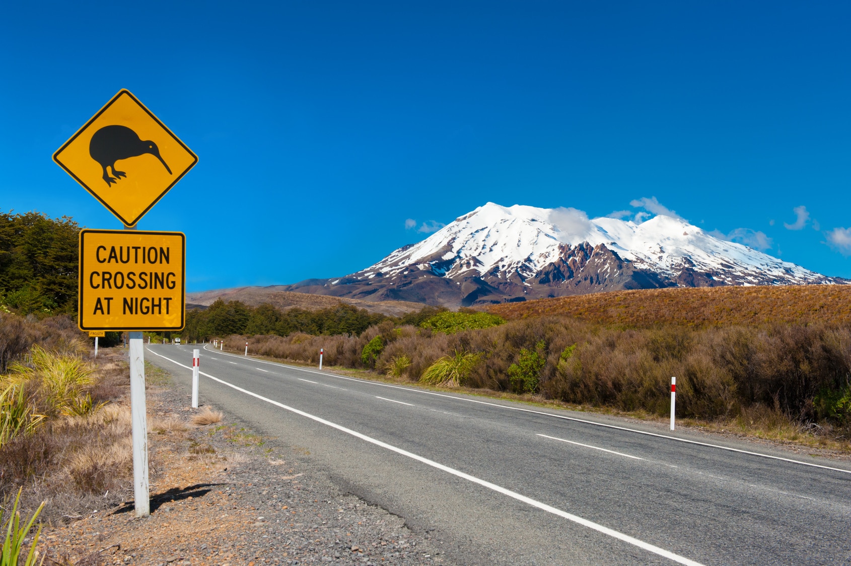 Trabajar en Nueva Zelanda: la Working Holiday Visa