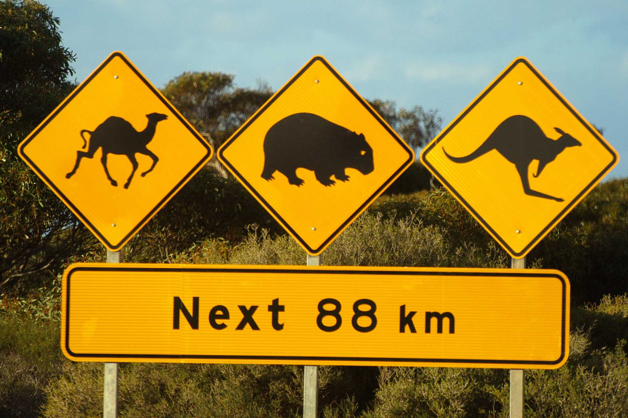 Las señales de tráfico más extrañas que solo te encontrarás en Australia Chapka Seguros Las señales de tráfico más extrañas que solo te encontrarás en Australia Chapka Seguros