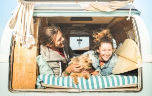 Los mejores destinos para viajar con tu perro