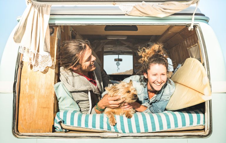 Los mejores destinos para viajar con tu perro