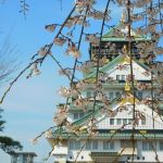 Entrevista al blog Mi Propio Ítaca: “Japón me obliga a estar fuera de mi zona de confort y a enfrentarme a retos”