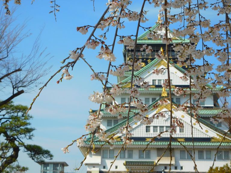 Entrevista al blog Mi Propio Ítaca: “Japón me obliga a estar fuera de mi zona de confort y a enfrentarme a retos”