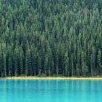 5 motivos por los que irse de Working Holiday Visa a Canadá