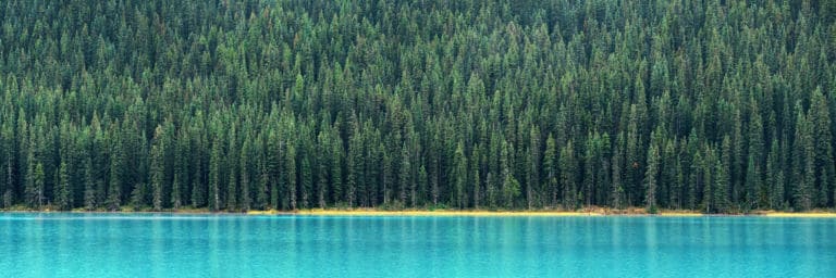 5 motivos por los que irse de Working Holiday Visa a Canadá