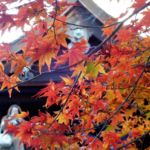 Japón: Un destino para cualquier época del año