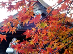 Japón: Un destino para cualquier época del año