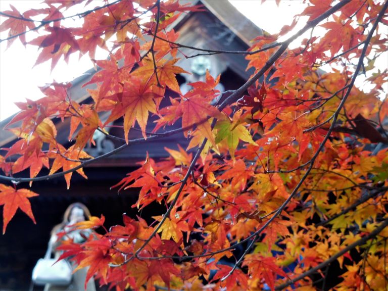 Japón: Un destino para cualquier época del año