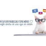 Chapka Assurances busca su Community&Content Manager para España