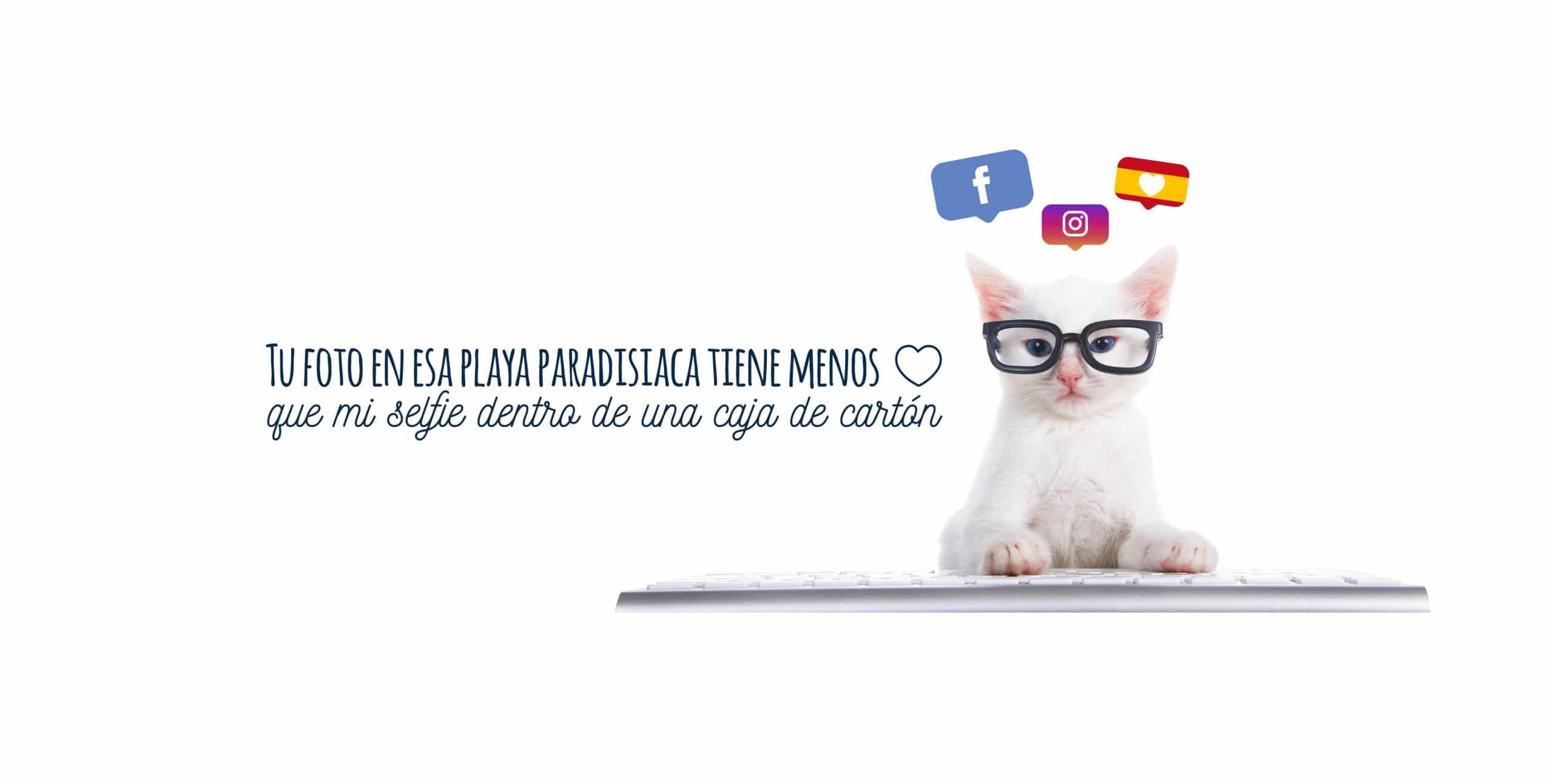 Chapka Assurances busca su Community&Content Manager para España