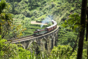 5 momentos en Sri Lanka que no te puedes perder