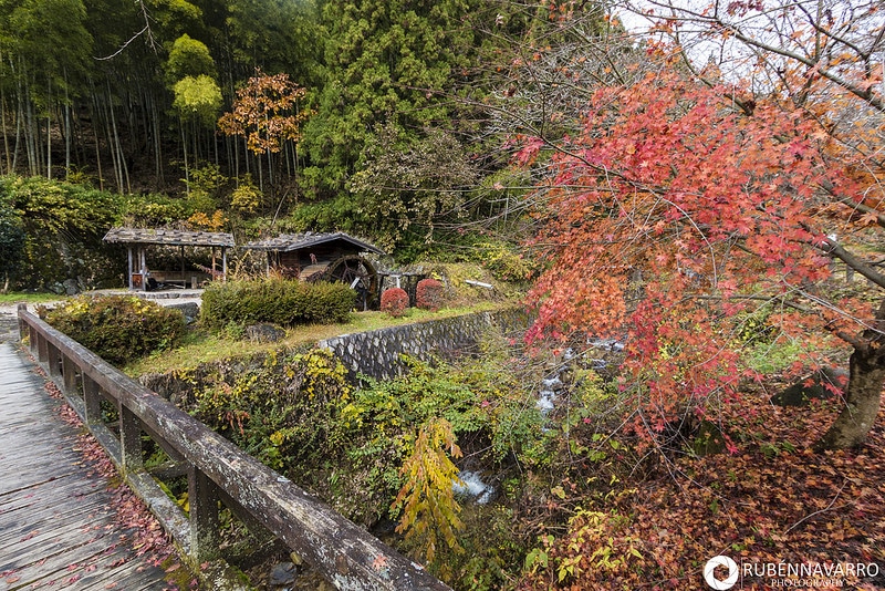 Jardín con plantas en tonos otoñales en Hokkaido, Japón