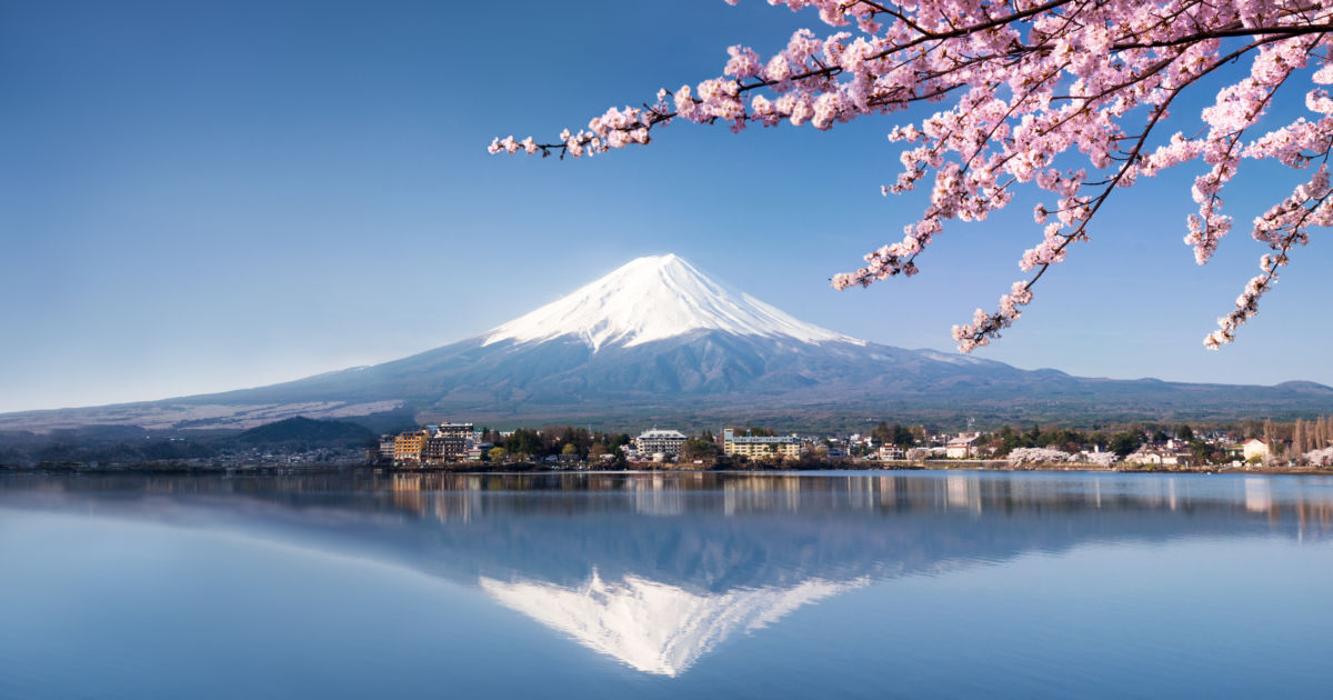 Vistas del Monte Fuji con un cerezo en flor delante