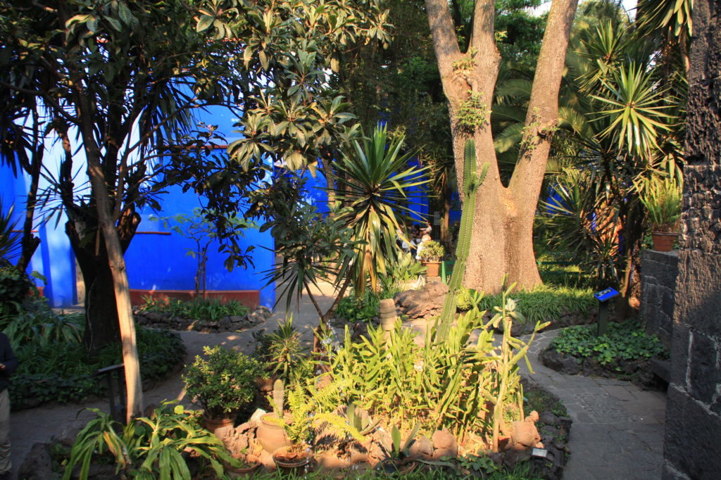 Jardín de la casa azul Museo Frida Kahlo en Coyocan México