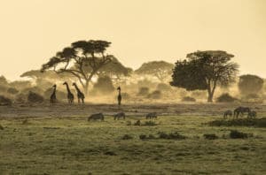 4 motivos por los que NO deberías viajar a África