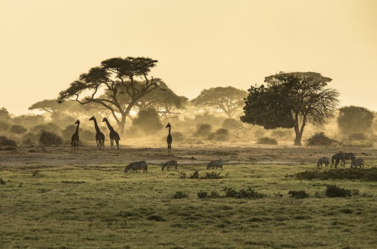 4 motivos por los que NO deberías viajar a África