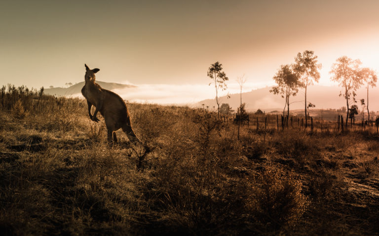 ¿Cómo es la vida en Australia?