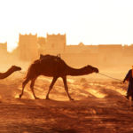 Sin Código Postal: 10 días por Marruecos