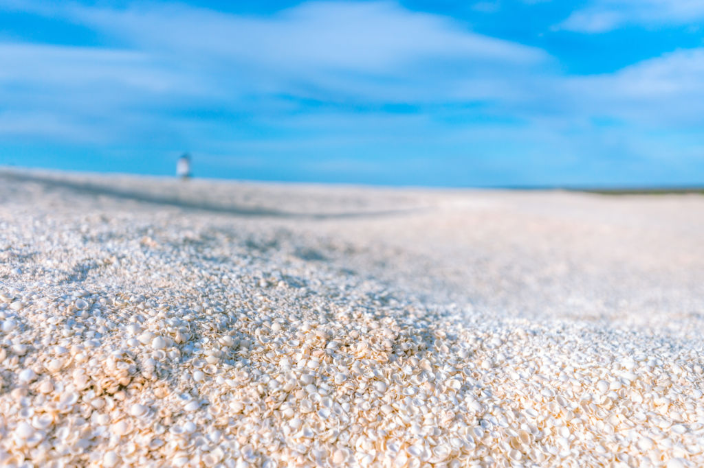 Shell Beach en Australia conchas playa