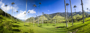 valle cocora colombia