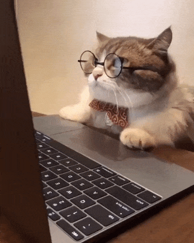 gif gato enfadado con el ordenador y gafas