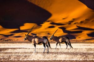 ¿Es seguro viajar a Namibia? – seguridad para viajeros