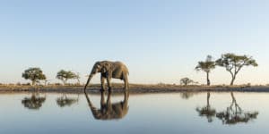 Viajar a Botsuana: todo lo que necesitas saber