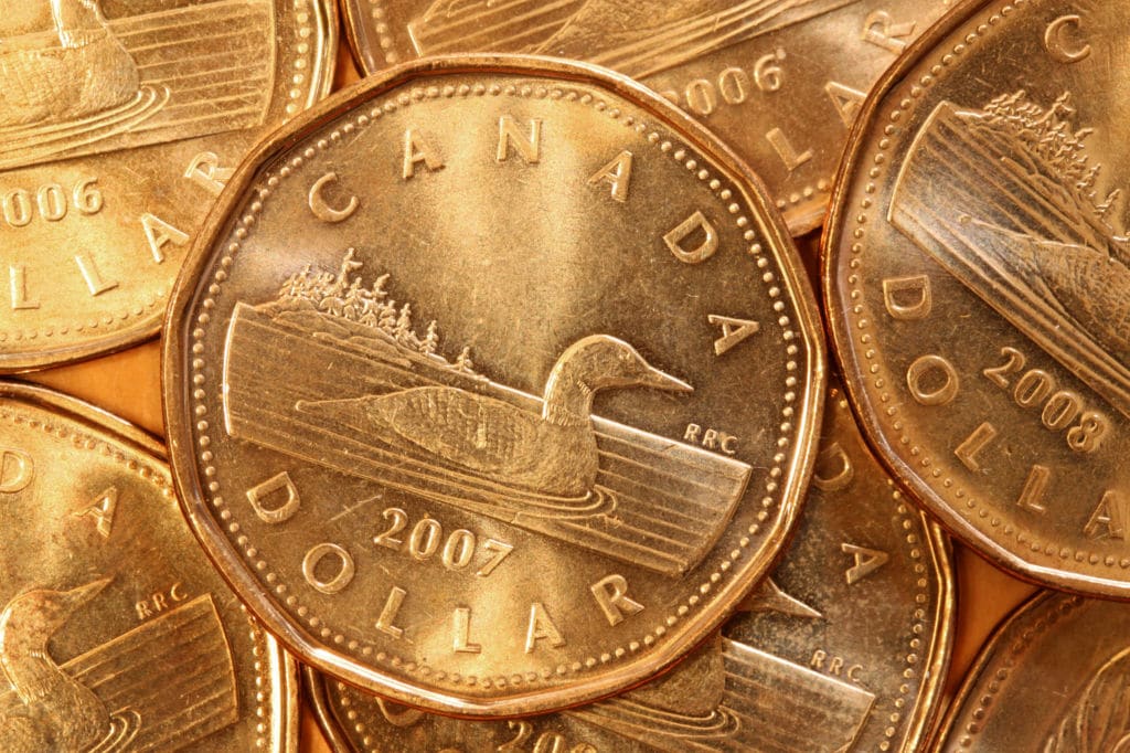 loonie expresiones palabras canadienses