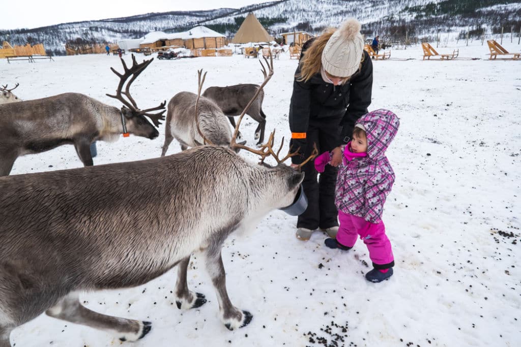 granja de renos de Tromsø niños