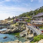 ¿Por qué irse de Working Holiday Visa a Corea del Sur?