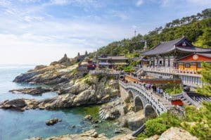 ¿Por qué irse de Working Holiday Visa a Corea del Sur?