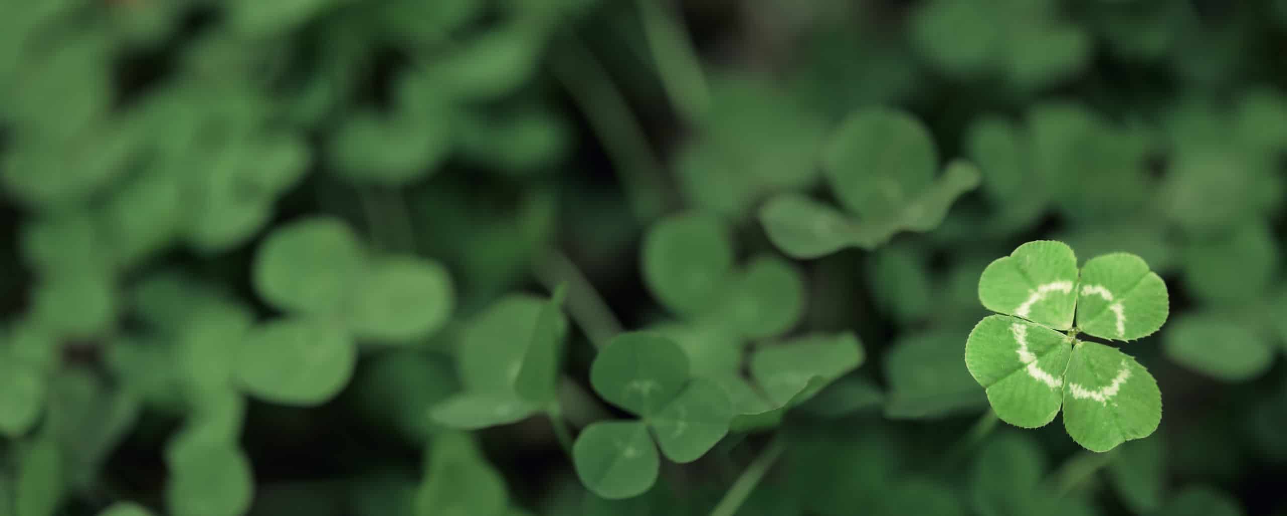 Creencias de diferentes países que te traen buena suerte