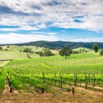 7 destinos para hacer enoturismo por el mundo
