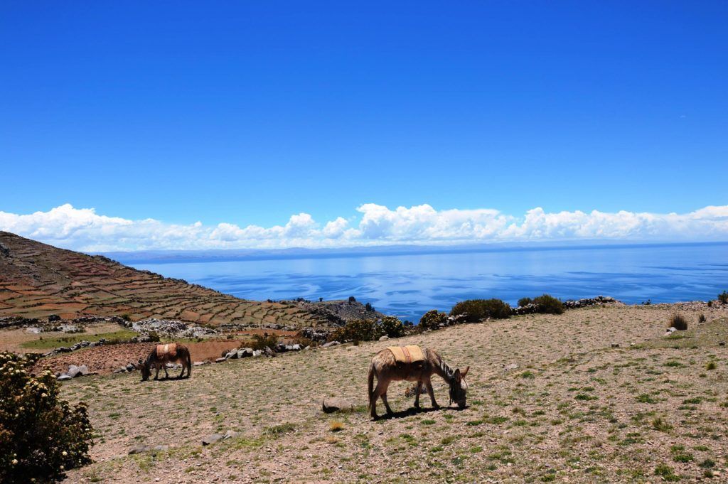 imprescindibles perú lago titicaca