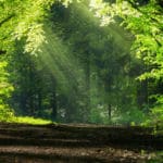 5 lugares que cualquier amante de los viajes de naturaleza debería visitar
