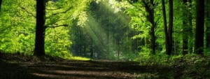 5 lugares que cualquier amante de los viajes de naturaleza debería visitar