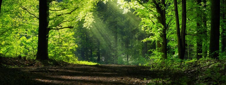5 lugares que cualquier amante de los viajes de naturaleza debería visitar