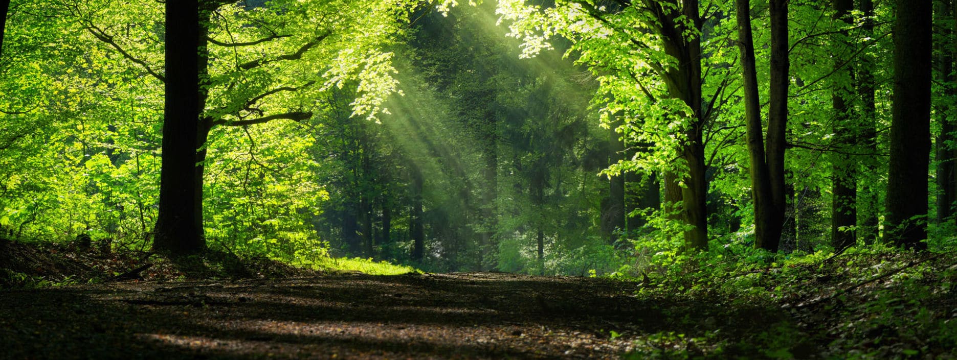 5 lugares que cualquier amante de los viajes de naturaleza debería visitar