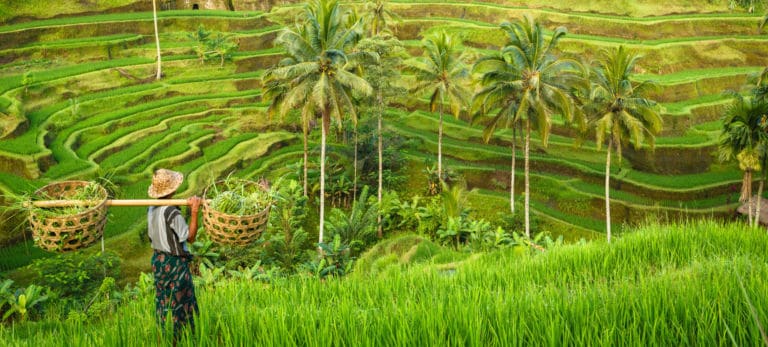 15 días por Indonesia: el viaje de «Muero por Viajar»