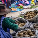 ¿Cómo se cocinan las patatas en el mundo?