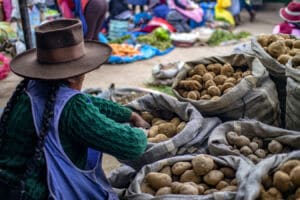 ¿Cómo se cocinan las patatas en el mundo?