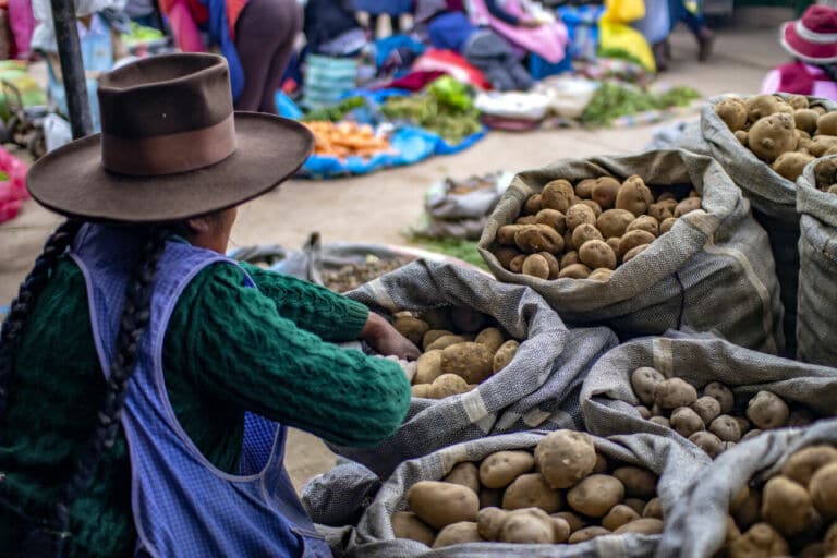 ¿Cómo se cocinan las patatas en el mundo?