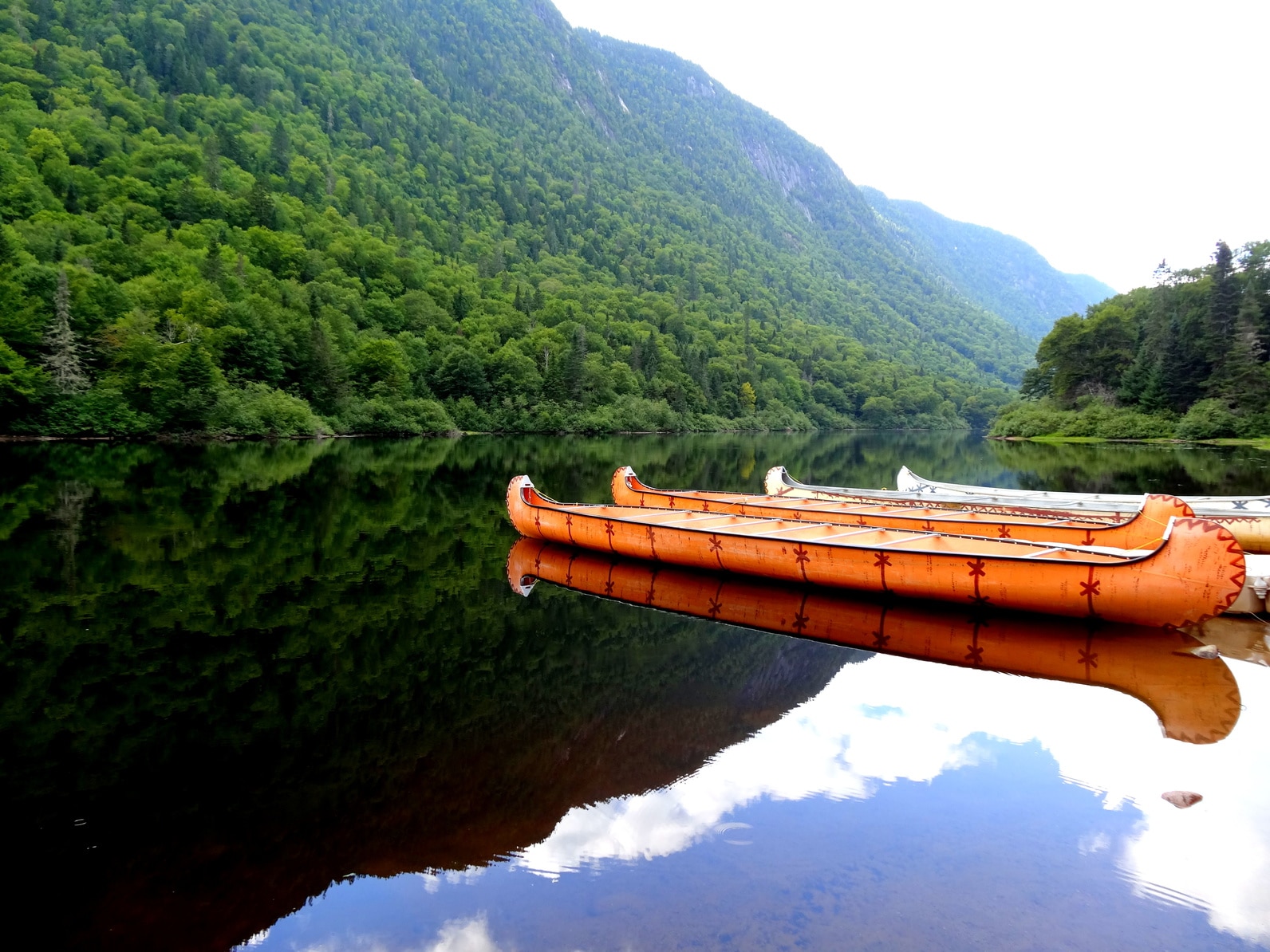 10 consejos para estudiar en Quebec