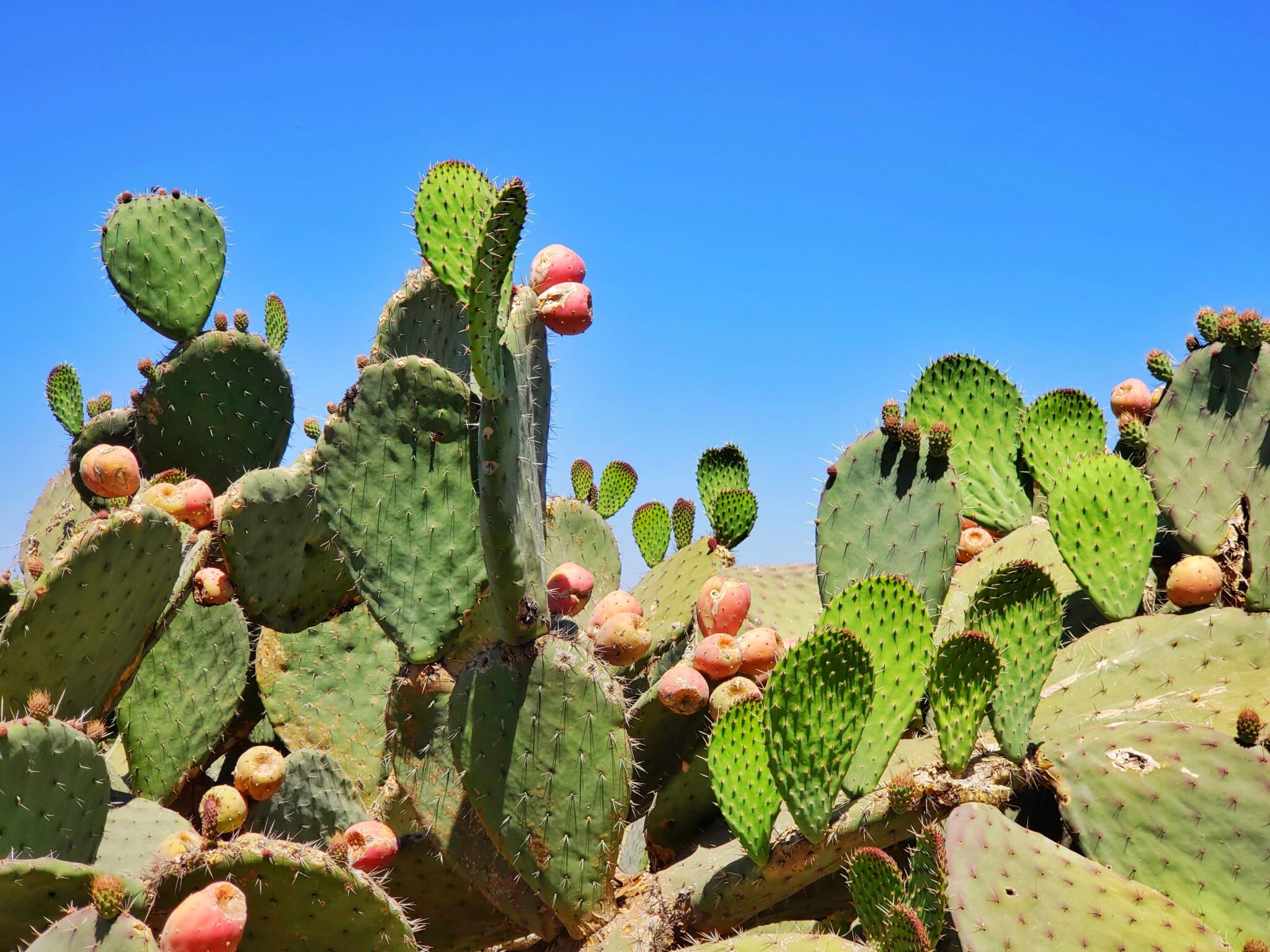 Seguridad en México ¿es seguro viajar a México? Chapka Seguros