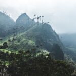 Qué ver en el Eje Cafetero: imprescindibles entre montañas y cafetales