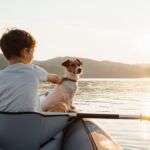 5 planes para hacer con tu perro durante las vacaciones