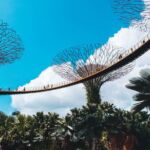 Singapur abre fronteras a españoles vacunados a partir del 19 de octubre