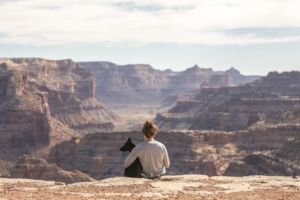 5 razones por las que viajar con tu perro